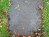 image of grave number 711160